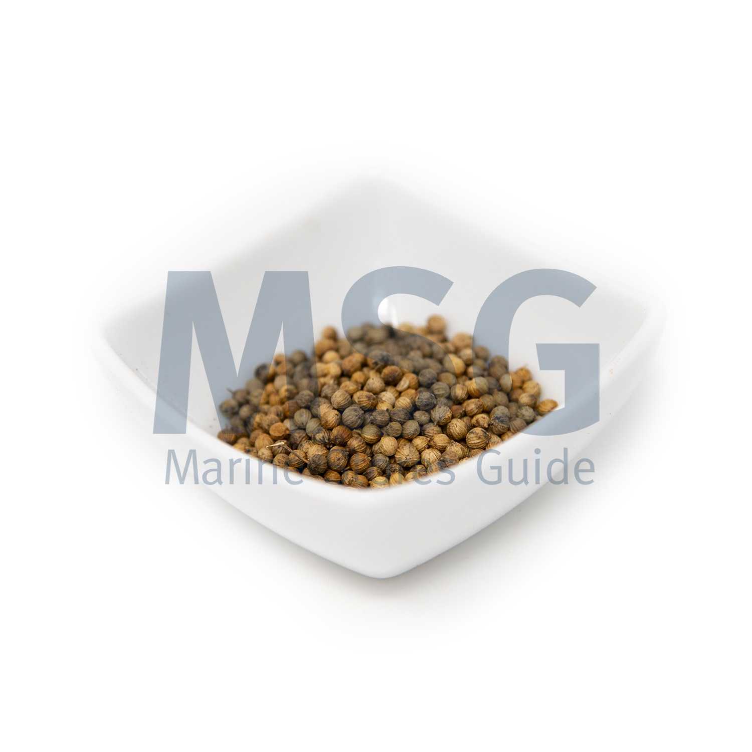CORIANDER SEED WHOLE