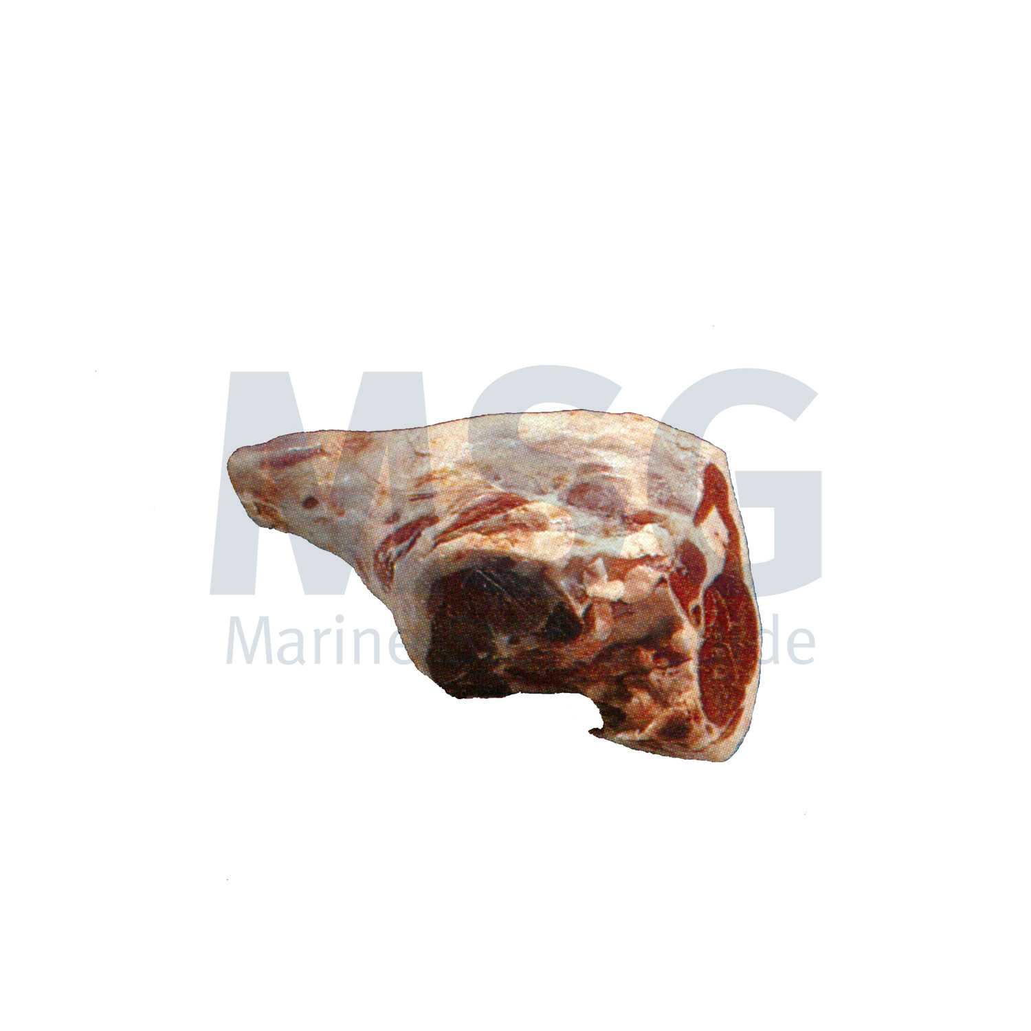 MUTTON LEG BONE-IN